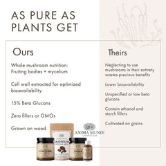 Anima Mundi Chaga powder in a teacup infusing warm, earthy notes.
