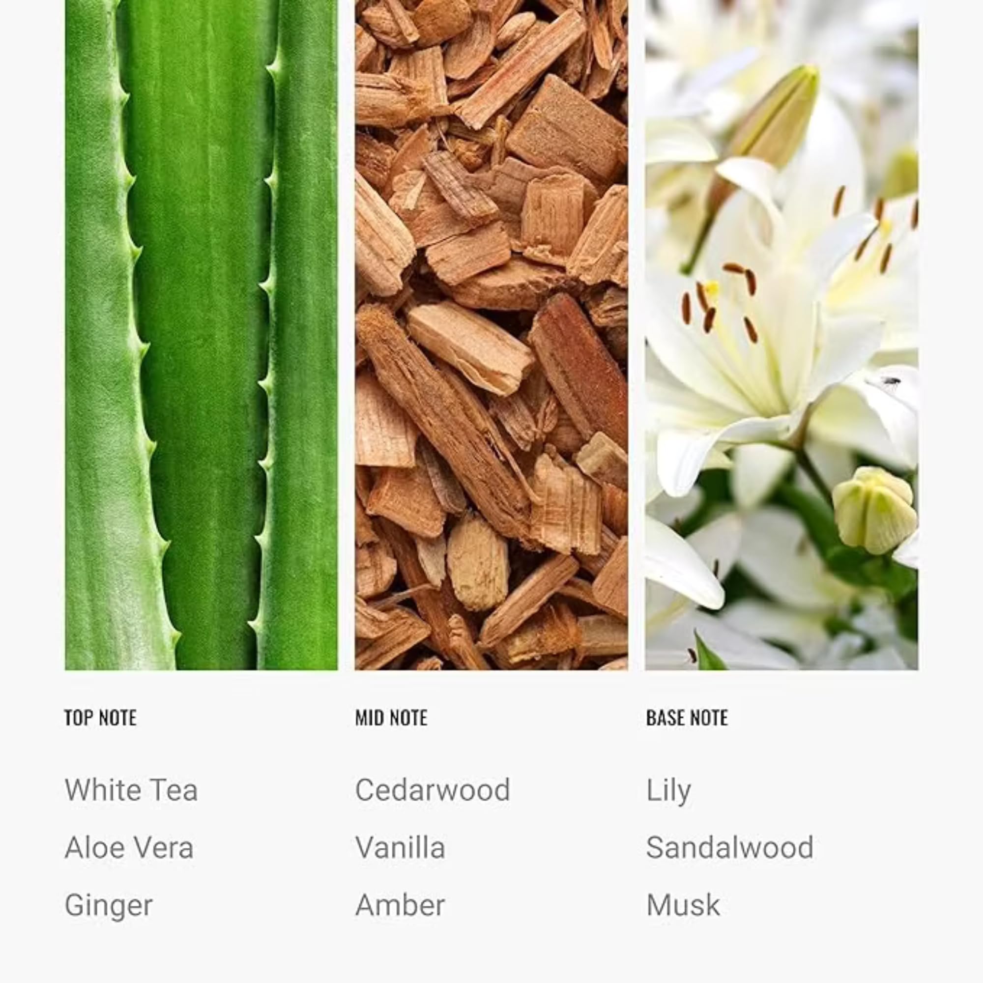 Diffuser in living room releasing Day Dream fragrance for refined ambience.