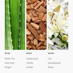 Diffuser in living room releasing Day Dream fragrance for refined ambience.