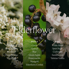 Customizable scent intensity with daily reed flips for a stronger scent.