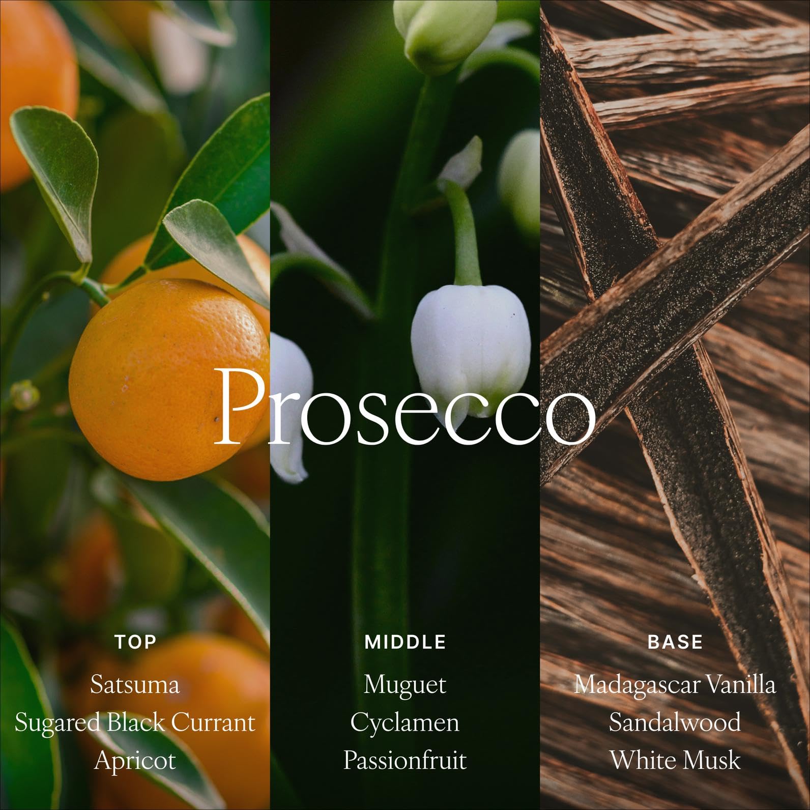 Antica Farmacista diffuser cap and reeds demonstrate easy scent intensity customization.
