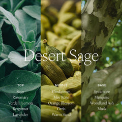 Antica Farmacista glass vessel of the Desert Sage diffuser