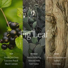 Antica Farmacista Fig Leaf packaging emphasizes gift-ready sophistication.
