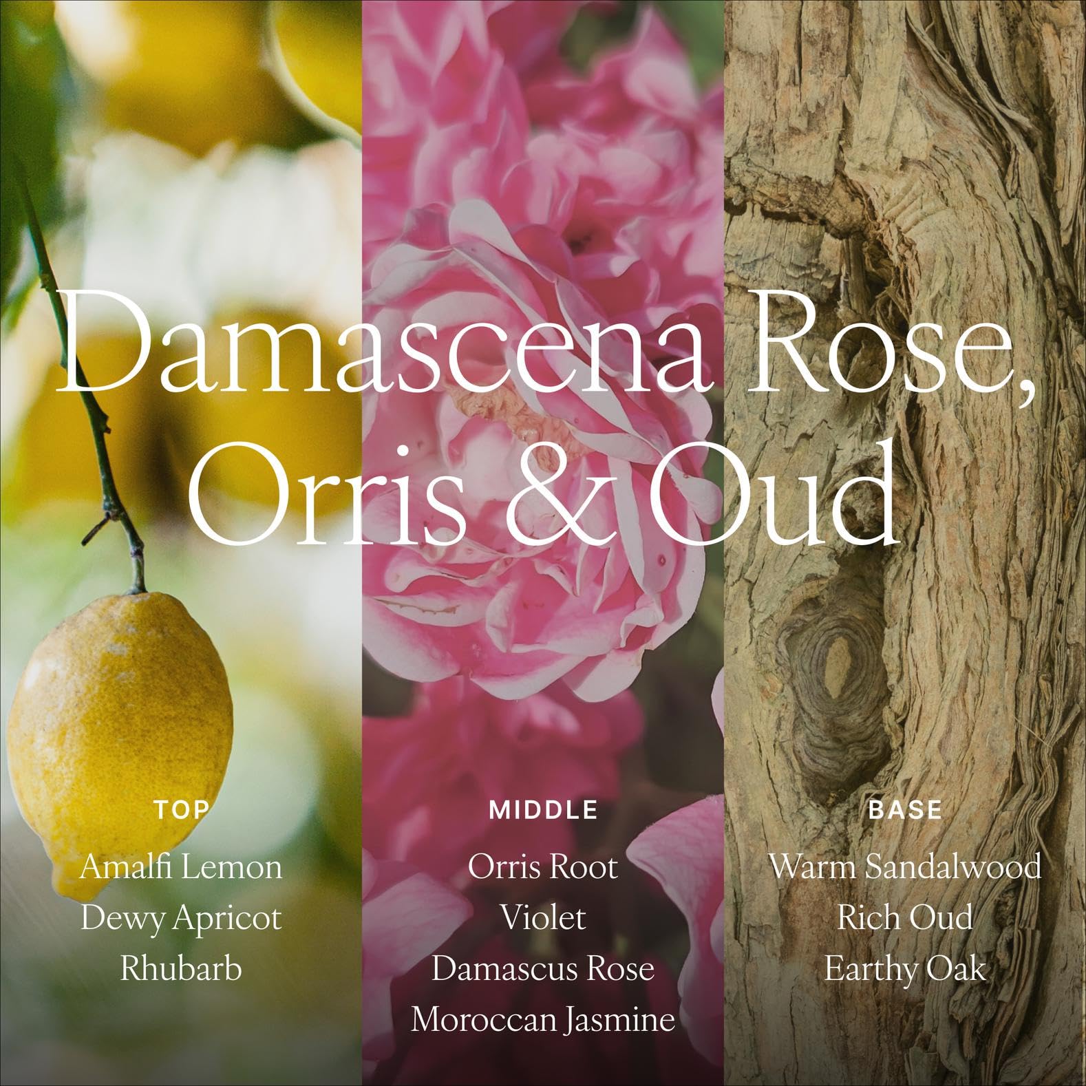 Antica Farmacista oud amber base diffuser close-up adds warm atmosphere.