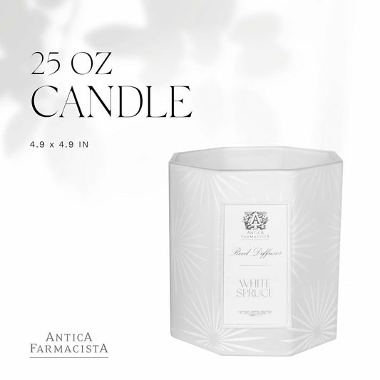 Antica Farmacista White Spruce candle glow enhances living room atmosphere