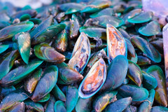 New Zealand coastal waters background highlighting mussel source for Antler Farms oil.