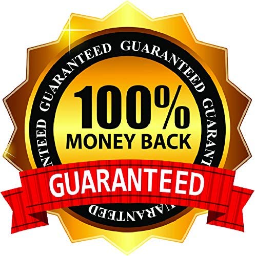 GMP certified seal on ANTLS bottle indicating trusted quality