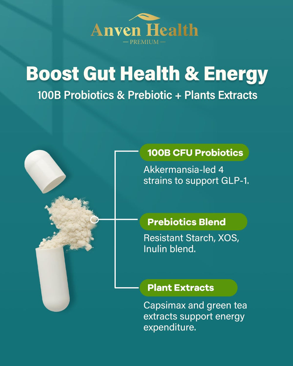 Anven Health GLP-1 synbiotic blend illustration for gut health