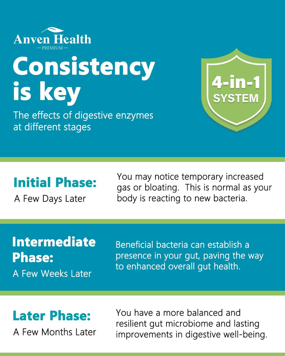 Anven Health gut comfort after meals visual suggests bloating relief.