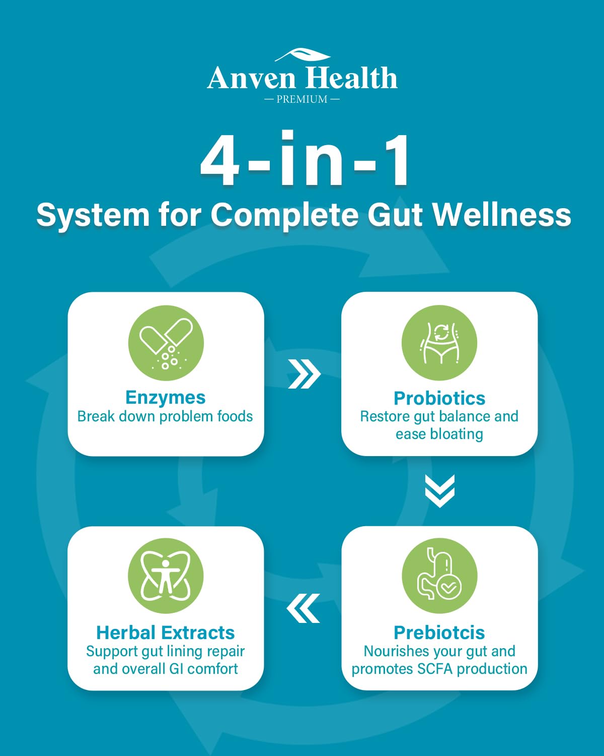 Anven Health L-glutamine illustration indicates intestinal lining support.