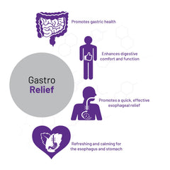 AOR Gastro Relief ingredients list featuring mastic gum and vitamin C
