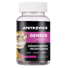 Apetropics Genius Chews bottle front view showing berry flavor and daily dose.