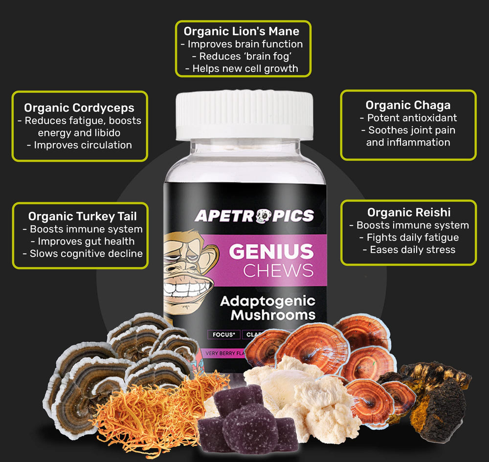 Apetropics Genius Chews ingredients label highlighting lion’s mane and other mushrooms.