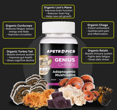 Apetropics Genius Chews ingredients label highlighting lion’s mane and other mushrooms.
