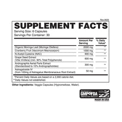 Apollon Kidney Kindness capsules ready for a structured daily supplementation routine.