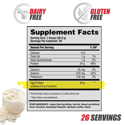 Apollon Nutrition Egg-Cellent chocolate marshmallow scoop captures dessert-like flavor.