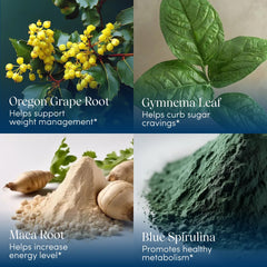Apothekary Blue Burn ashwagandha close-up signaling stress response support.
