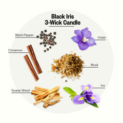 APOTHEKE fragrance notes reveal black pepper, iris, and musk for a sophisticated mood.
