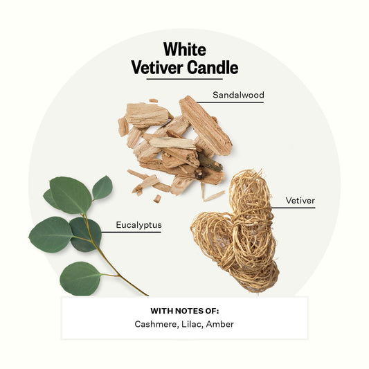 APOTHEKE Sandalwood Eucalyptus Vetiver fragrance highlights a soothing aroma for living spaces.