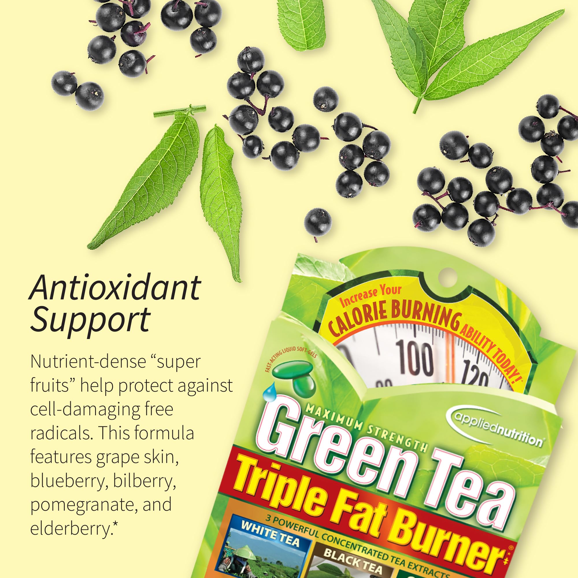 Applied Nutrition Green Tea Fat Burner label notes caffeine for potential energy support