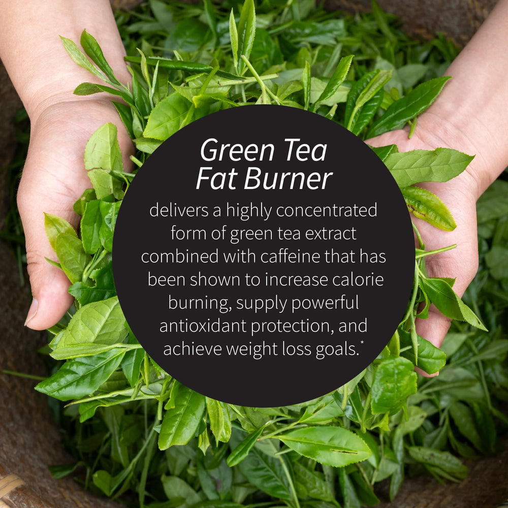 Applied Nutrition Green Tea Fat Burner ingredients blend highlights EGCG rich extract