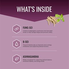 Approved Science Adrenasyl bottle back with ingredient and usage details.