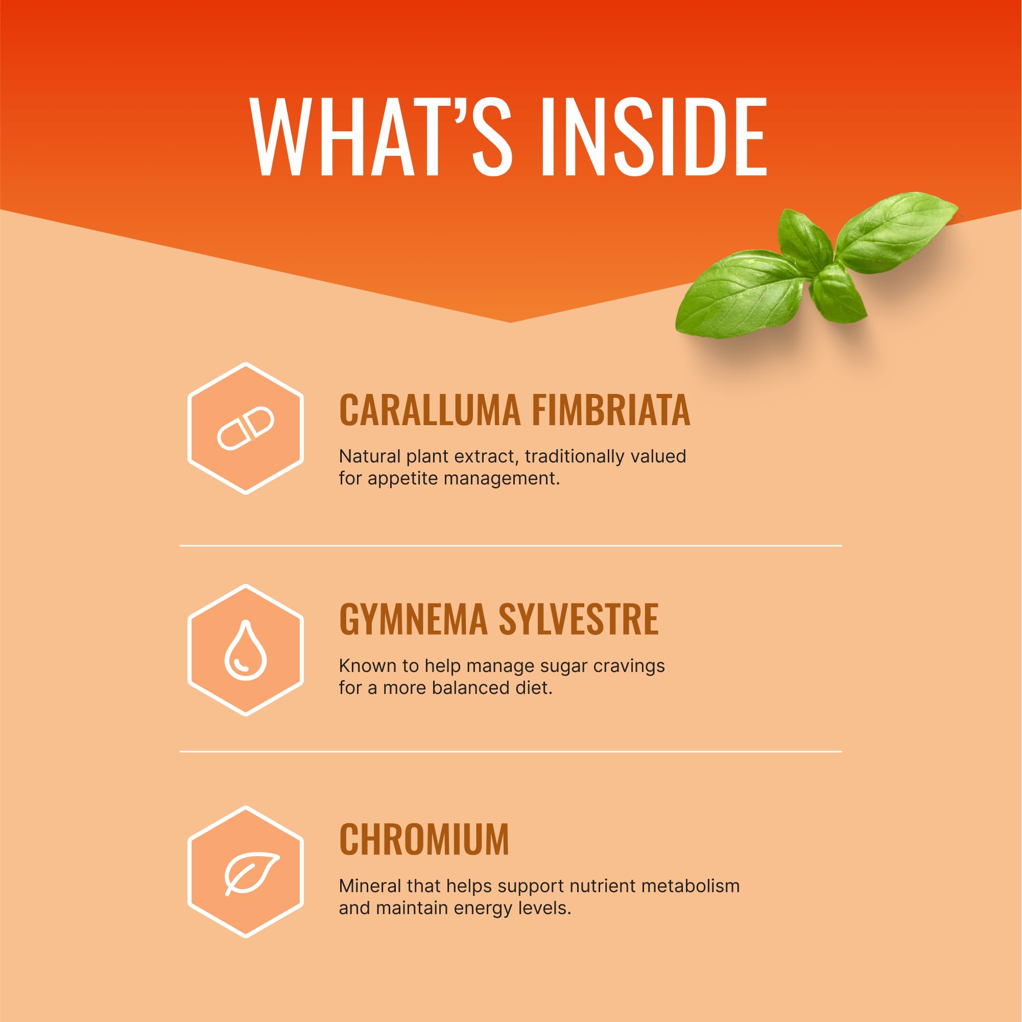 Approved Science Appetite Suppressant chromium capsules aid daily metabolic support.