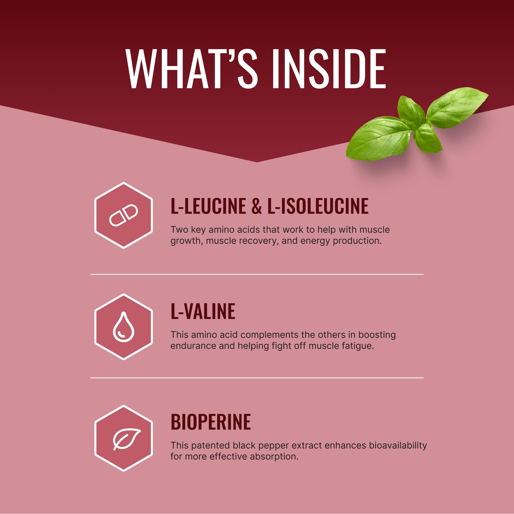 Close-up label shows vegan, non-GMO Approved Science BCAA.