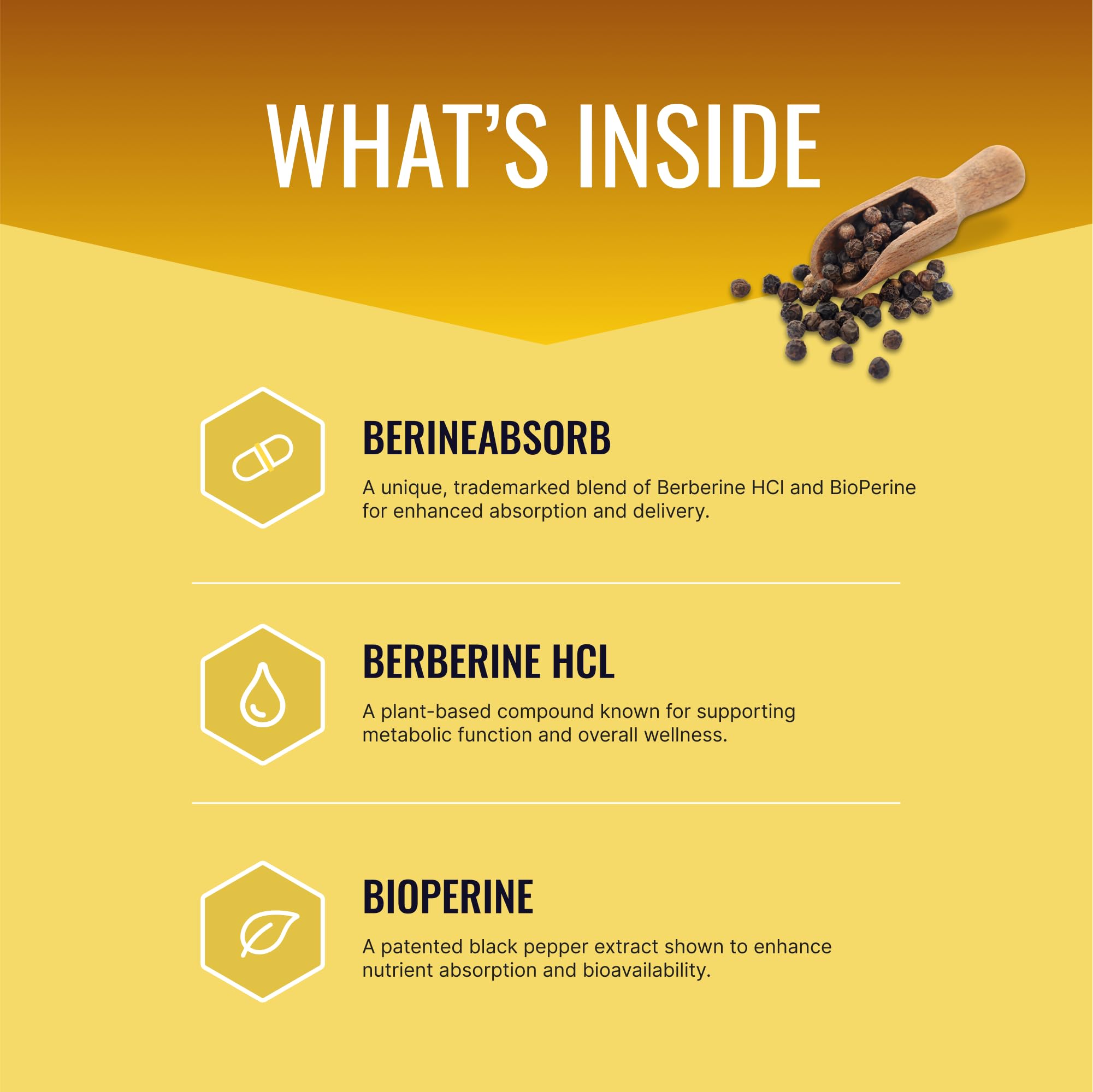 Approved Science Berberine BioPerine blend highlights absorption support