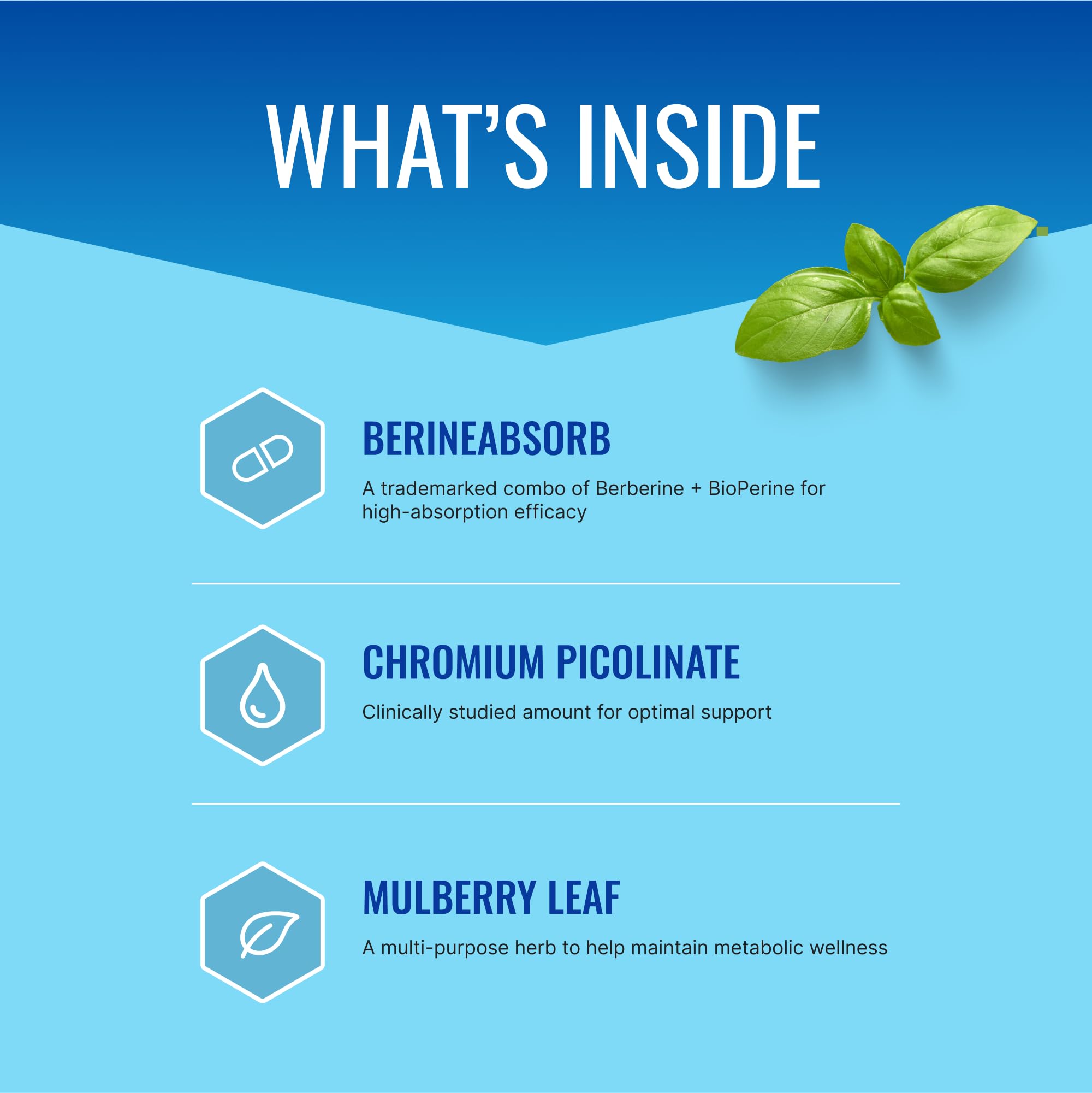 Glucoprin capsules with mulberry and cinnamon—botanicals for balance.
