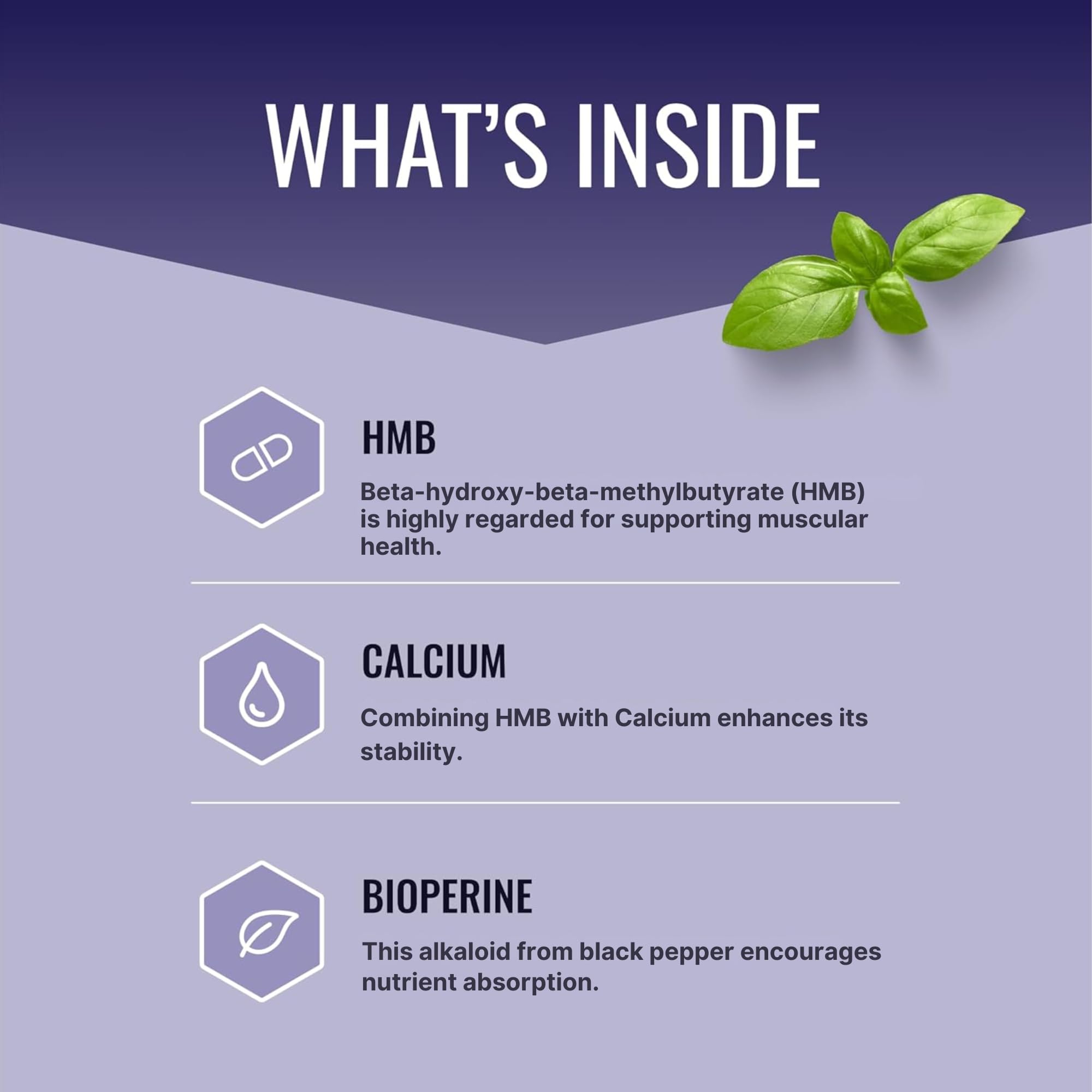 Approved Science HMB-label-info shows calcium and BioPerine for better absorption.