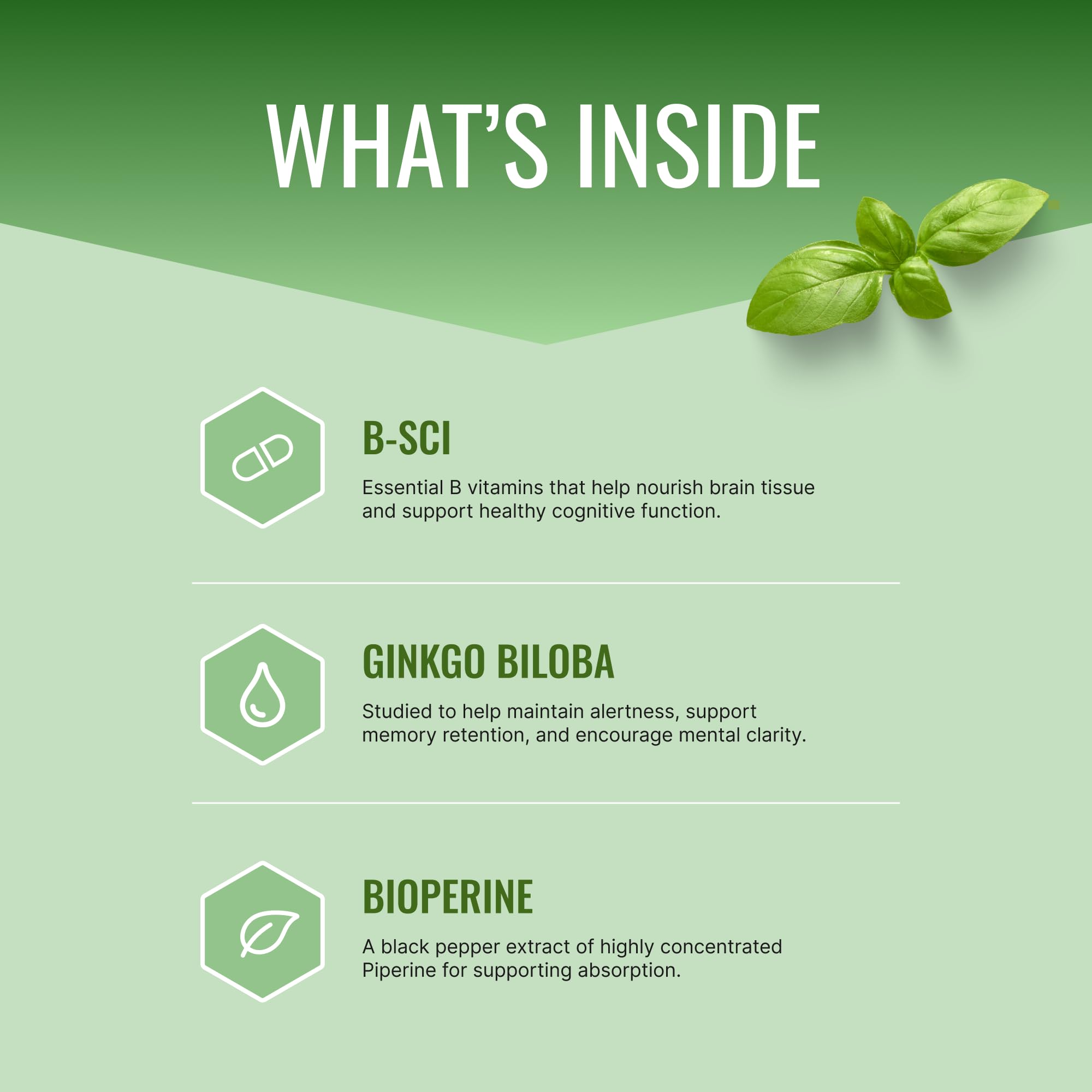 Approved Science MemorySyl bottle back shows ingredients and usage for cognitive support