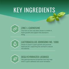 Approved Science Pyloriprin zinc L-carnosine closeup targeted stomach lining support