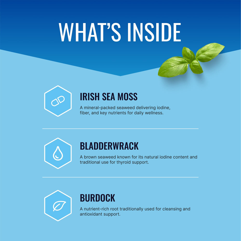 Approved Science Wild-Crafted Irish Sea Moss capsules ready for daily use