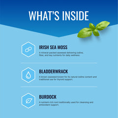Approved Science Wild-Crafted Irish Sea Moss capsules ready for daily use