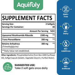 Aquifoly absorption technology graphic illustrating liposome delivery to improve uptake.