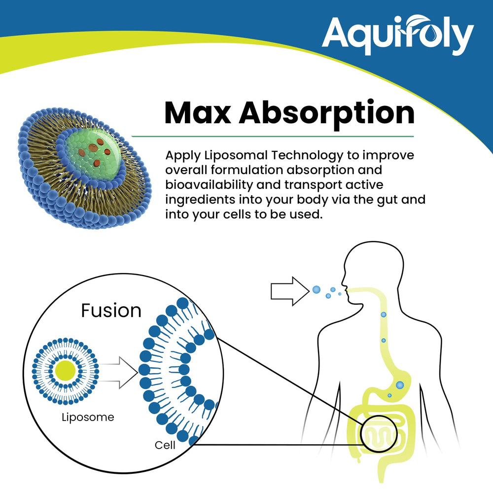 Aquifoly trans-pterostilbene visual highlights natural polyphenol support for wellness.