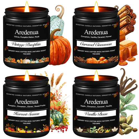 Aredenua Winter Holiday Candles Set with caramel cinnamon for cozy ambiance