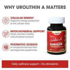 Arigold Urolithin A PRO mitochondrial graphic illustrating energy and renewal.