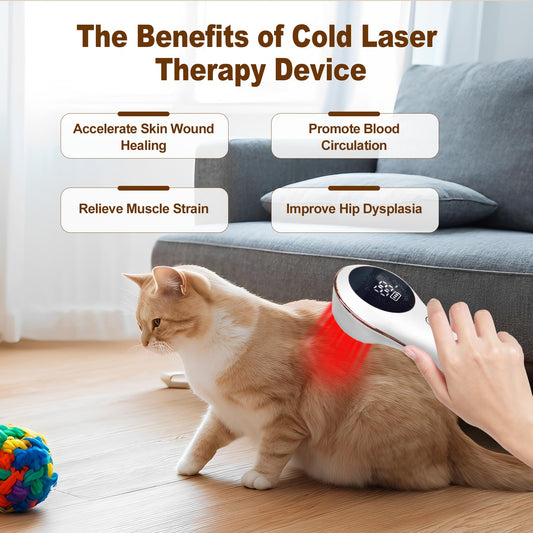 Ariysah LLLT charger ensuring quick recharge between treatments.