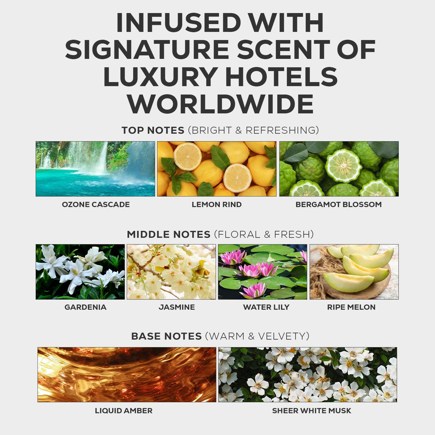 AROMA COUNTRY Ritzy fragrance note gardenia-amber highlights premium hotel ambience.
