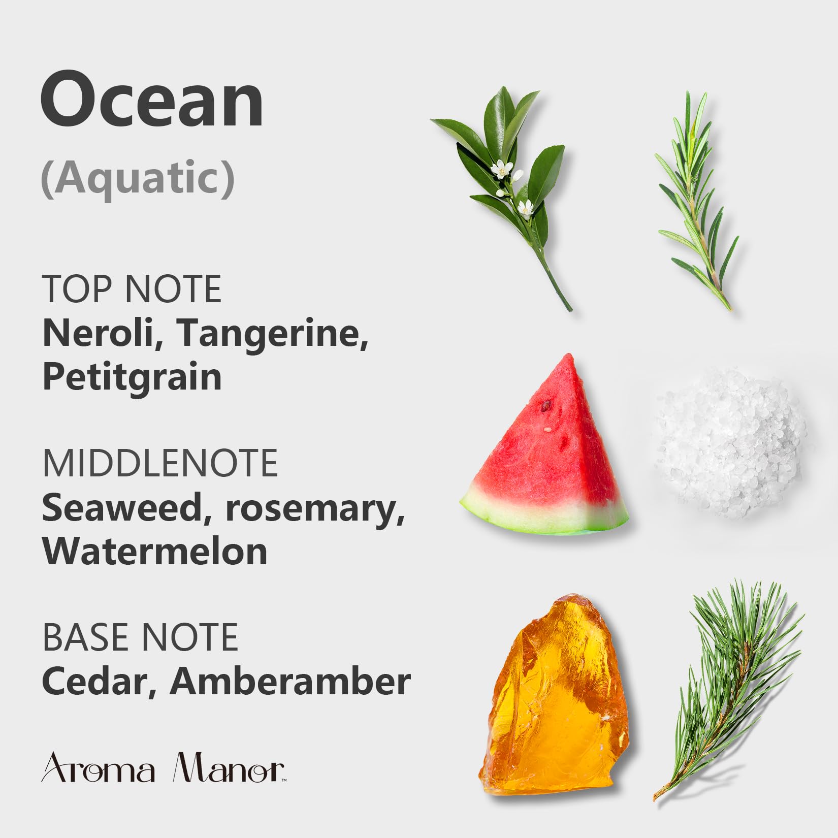 Aroma Manor Ocean diffuser oil packaging showcased on display.