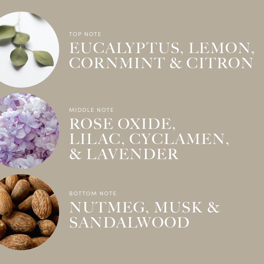 Aroma360 Across The Universe top notes of eucalyptus and lemon visible on bottle