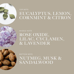 Aroma360 Across The Universe top notes of eucalyptus and lemon visible on bottle