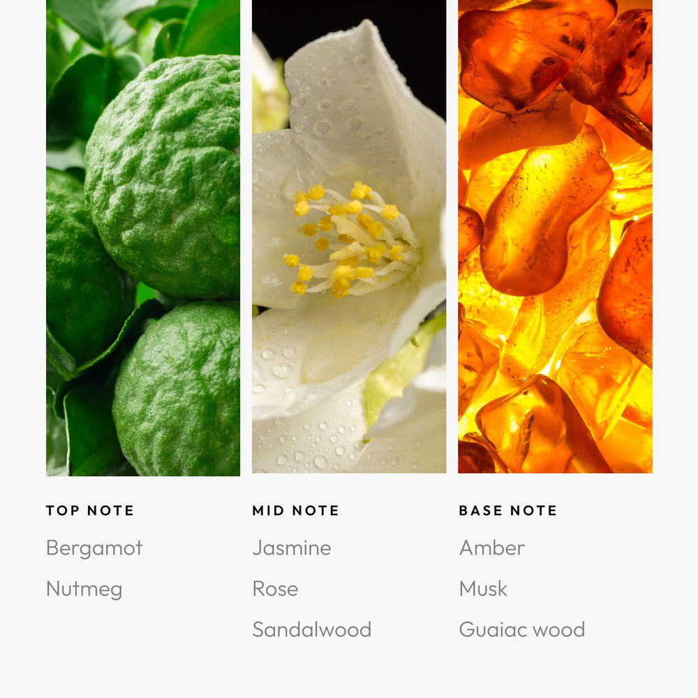 Aroma360 Allure packaging box conveys premium quality and eco-conscious ingredients.