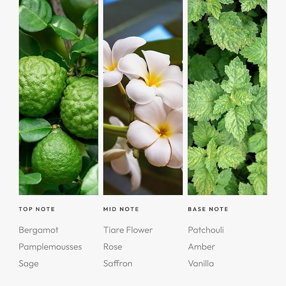 Aroma360 Black Diffuser Oil Blend label shows premium, parfum-inspired notes