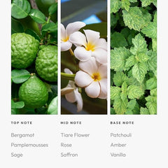 Aroma360 Black Diffuser Oil Blend label shows premium, parfum-inspired notes