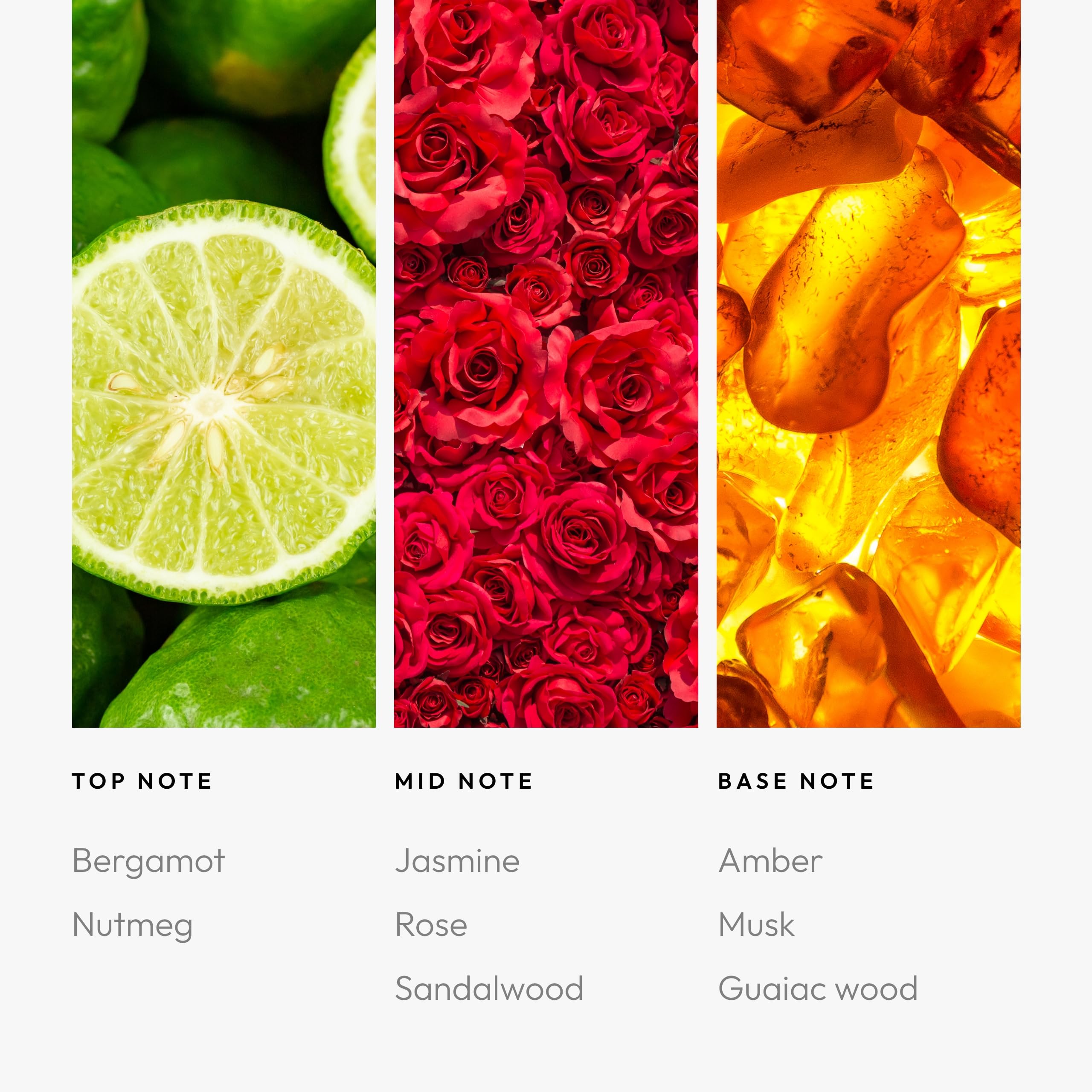 Aroma360 Daisy Duck Sassy Petals amber hues evoke warm, inviting atmosphere.