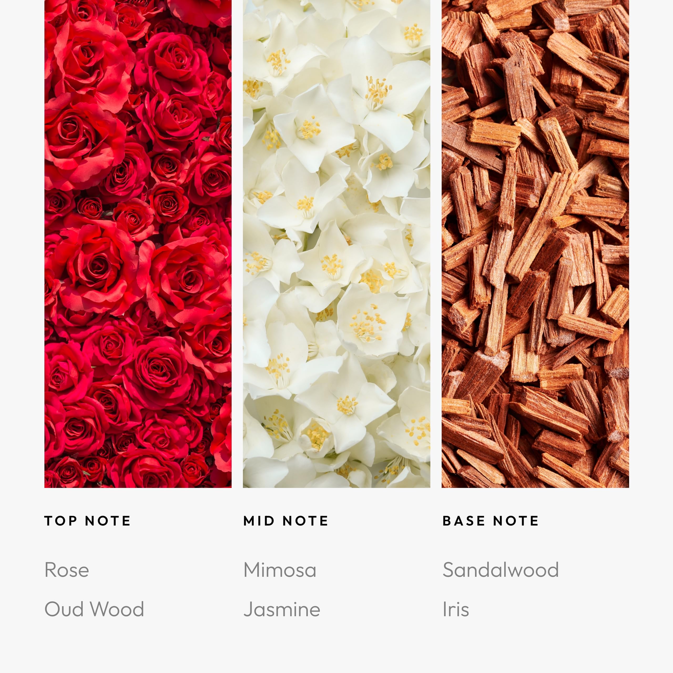 Aroma360 Disney Polka Dot Kisses sandalwood iris base notes offer lasting subtle aroma.