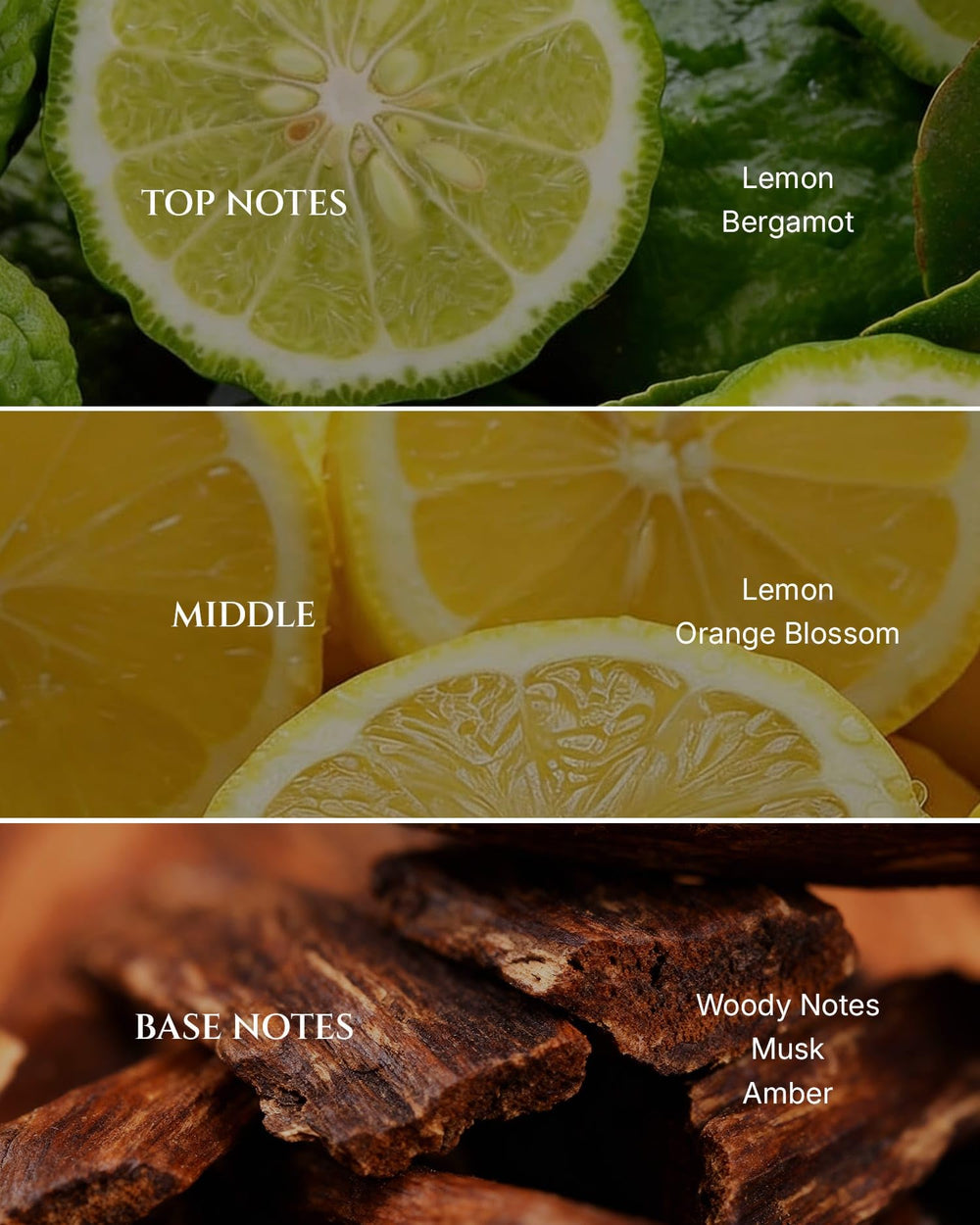 Aromadd Citrus diffuser oil close-up highlighting vibrant citrus notes.